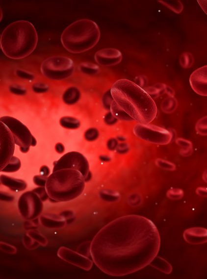 Jak zwiększyć ilość erytrocytów (czerwonych krwinek)?