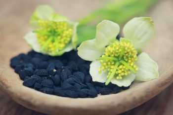 Olej z czarnuszki. Właściwości i zastosowanie