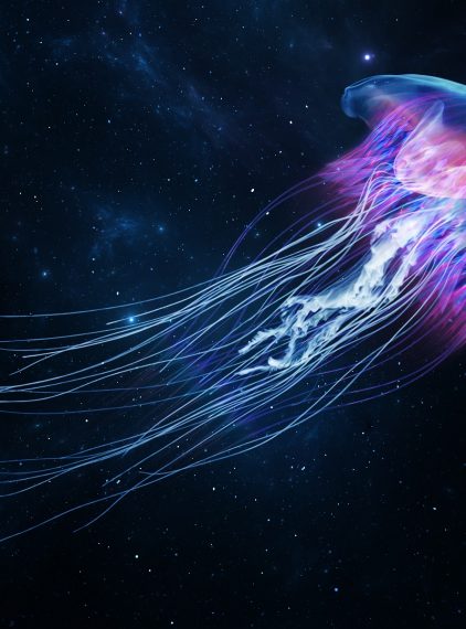 Poparzenie meduzą. Pierwsza pomoc