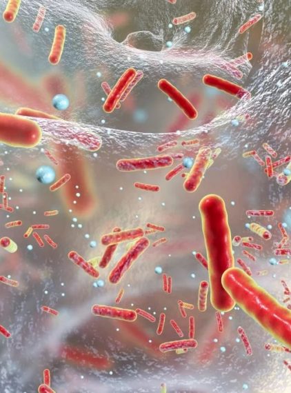 Poliprobiotyki w antybiotykoterapii