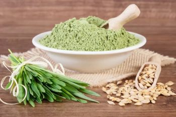 Młody jęczmień. Jakie ma właściwości?