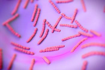 Pneumokoki – jak ustrzec się przed niebezpiecznymi bakteriami?