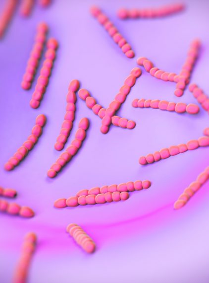 Pneumokoki – jak ustrzec się przed niebezpiecznymi bakteriami?