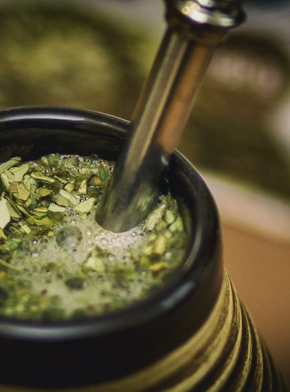Jakie właściwości kryje w sobie Yerba mate?