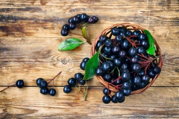 Aronia. Bogactwo witamin i minerałów