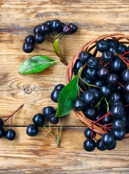 Aronia. Bogactwo witamin i minerałów