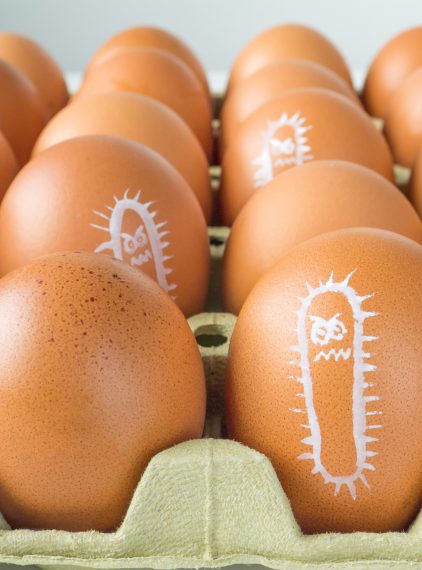 Salmonella. Jak objawia się zakażenie?