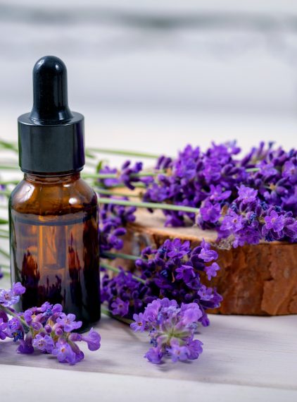 Lawenda. Poznaj jej właściwości!