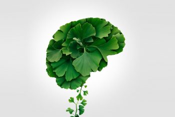 Jakie zioła na pamięć i koncentrację wybrać?