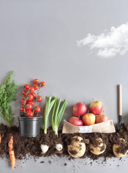 Wiosna i jej plony, czyli wpływ warzyw i owoców na nasze zdrowie