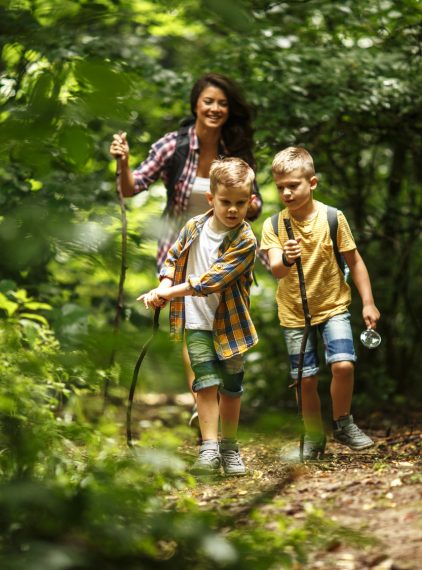Anaplazmoza granulocytarna – odkleszczowa choroba u ludzi