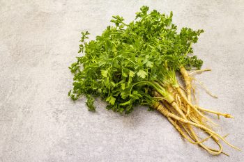 Pietruszka – właściwości i zastosowanie