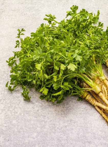 Pietruszka – właściwości i zastosowanie