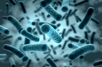 Probiotyki. To musisz wiedzieć!