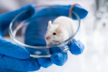 Hybryda człowieka i zwierzęcia