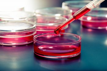 Osiągnięcia bioinżynierii tkankowej