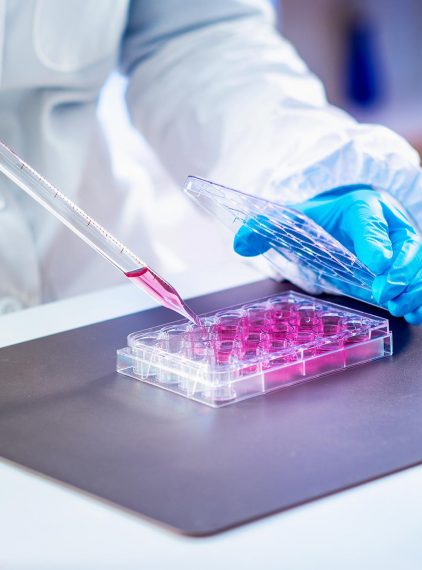 Komórki macierzyste w medycynie – jak je wykorzystać?