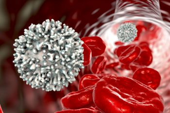 Leukocyty – rodzaje i ich funkcje