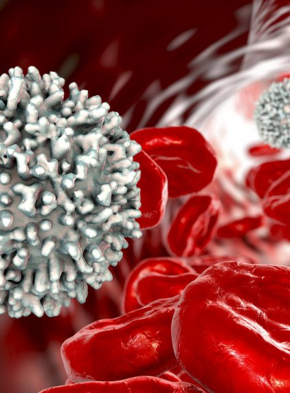 Leukocyty – rodzaje i ich funkcje