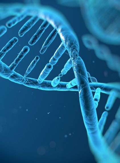 Chinolony – zastosowanie, działania niepożądane