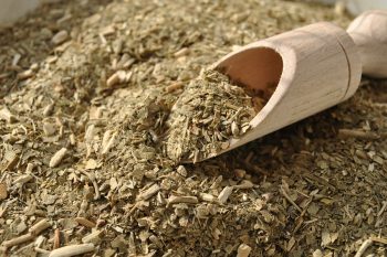 Czystek. Dlaczego warto go pić?