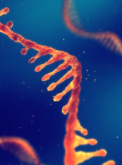 Przełomowe odkrycie naukowców szansą na rozwój terapii genowej?