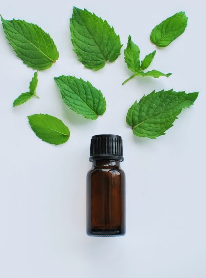 Mentol – jakie ma zastosowanie?