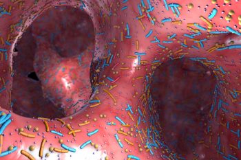 Zdrowe jelita kluczem do odporności