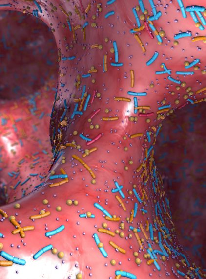 Zdrowe jelita kluczem do odporności