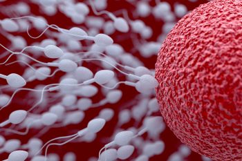 Plemniki – co wpływa na jakość męskiego nasienia?