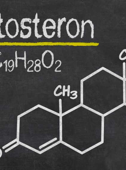 Norma stężenia testosteronu we krwi u dorosłych