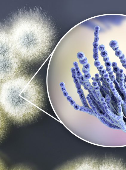 Uczulenie na penicylinę – jakie są jego objawy?