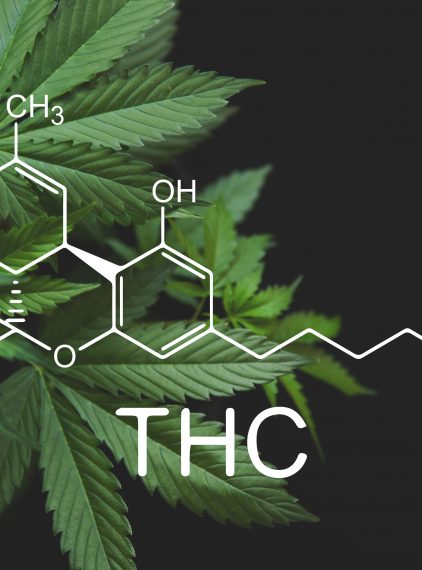 Czy THC jest szkodliwe?