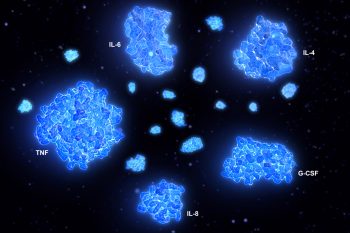 Cytokiny – czym są i jaką odgrywają rolę w organizmie?