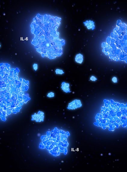 Cytokiny – czym są i jaką odgrywają rolę w organizmie?