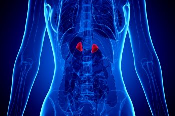 Kortykosteroidy – czym są i jakie mają znaczenie?