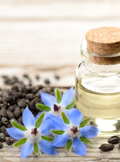 Olej z ogórecznika – czy warto włączyć go do diety?