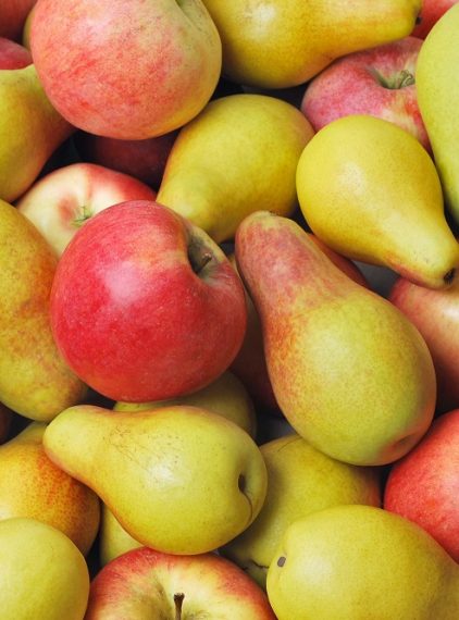 Sezonowe warzywa i owoce, które warto jeść zimą