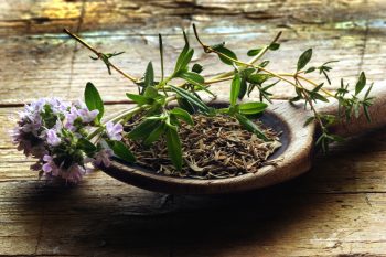 Macierzanka piaskowa. Poznaj jej właściwości!