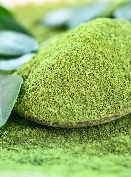Moringa – jakie ma właściwości?