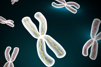 Choroby genetyczne sprzężone z płcią