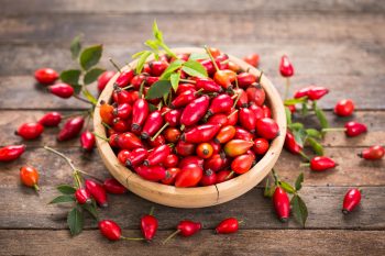 Dzika róża – właściwości i zastosowanie