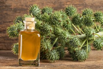 Jakie zioła stosować w zaparciach?