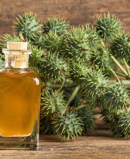 Jakie zioła stosować w zaparciach?