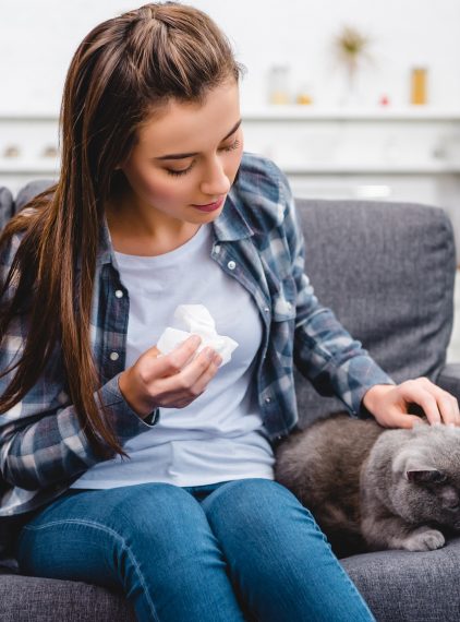 Alergia na sierść – jak sobie z nią radzić?