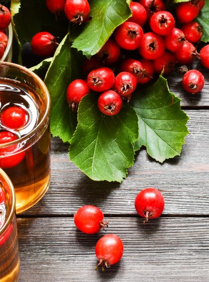 Zioła na nadciśnienie. Które stosować, a których unikać?