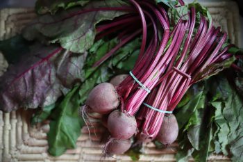 Botwina, czyli nasz wiosenny superfood