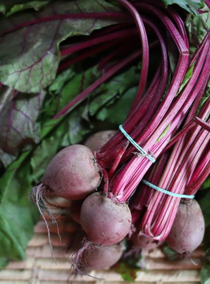 Botwina, czyli nasz wiosenny superfood