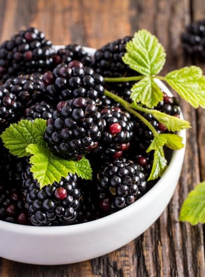 Antocyjany – dlaczego warto włączyć je do diety?