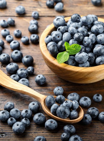 Borówka amerykańska – jakie ma właściwości?